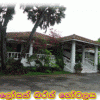 විශේෂිත ස්ථාන